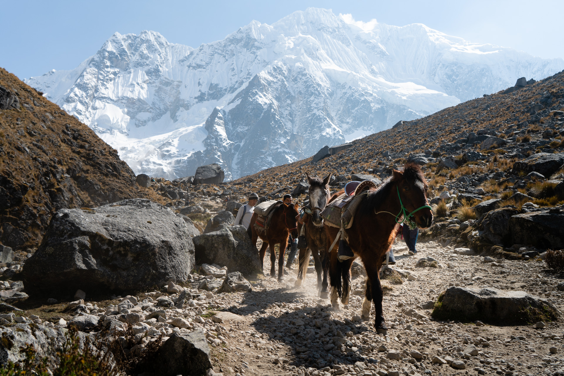 Preventing Altitude Sickness by Acclimatisation