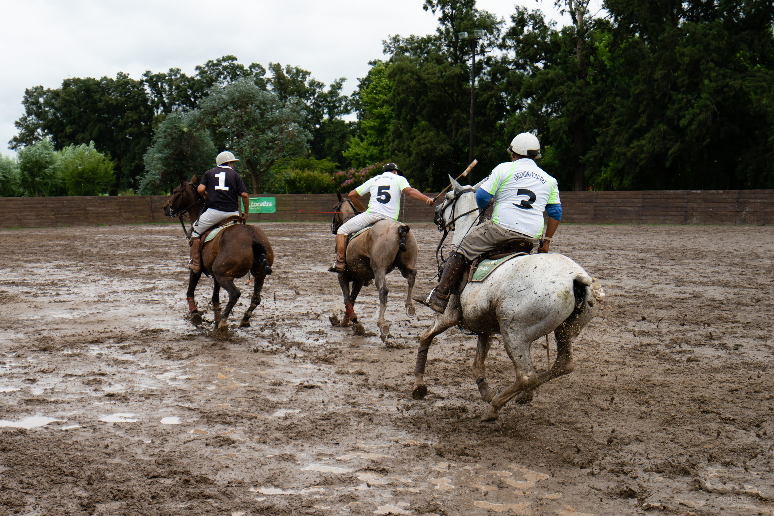 Play polo in Buenos Aires, Argentina